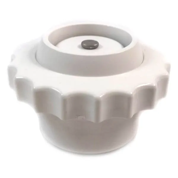 Pentair Spa Check Valve Slip (White) V20-343