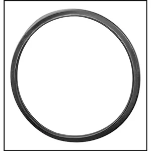 Pentair/Sta-Rite SunGlow Large Stainless Steel Lens Generic Gasket (#05501-0001)