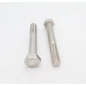 Pentair Stainless Steel Bolt 2-Pack 5/16″ X 2.5″ for Booster Pump LA115