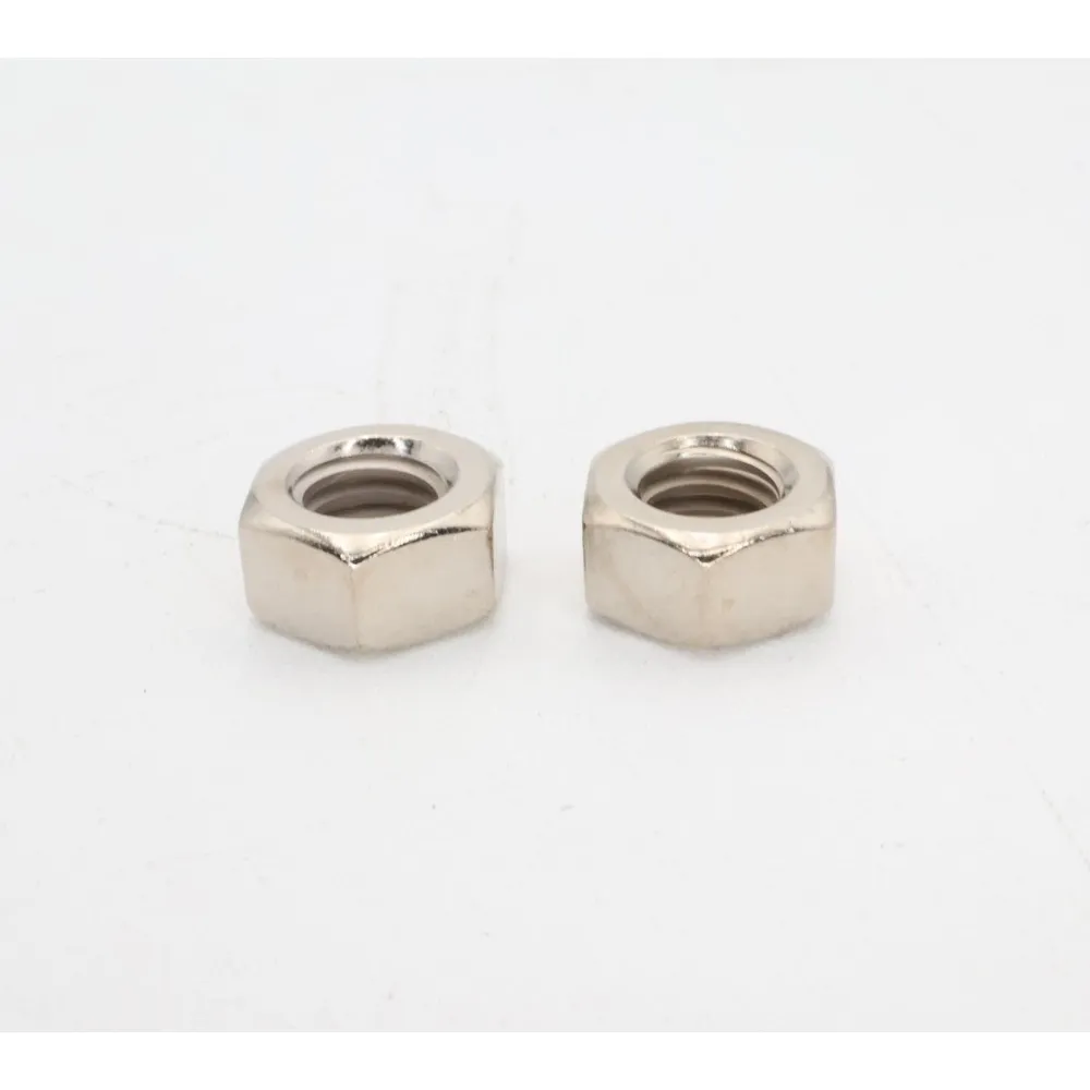Pentair Stainless Steel Nut 2-Pack 5/16″ for Booster Pump LA125