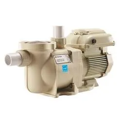 Pentair SuperFlo Variable Speed Pump 342002 – Return