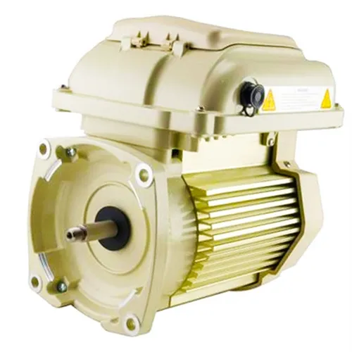 Pentair Superflo VS Pump Motor With Drive 356289S