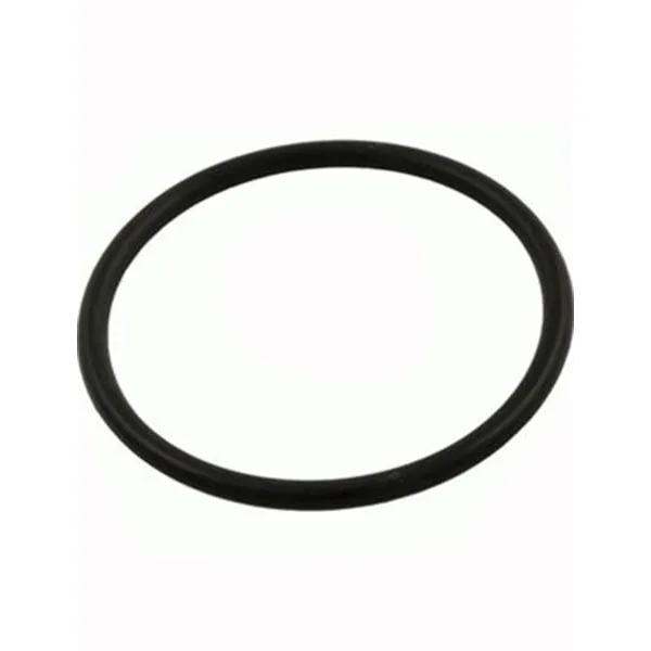 Pentair Throttling Plug O-Ring V50-350-1