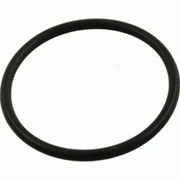 Pentair Ultra-Flow Pump Lid O-Ring (94-Present) V38-164 39300600
