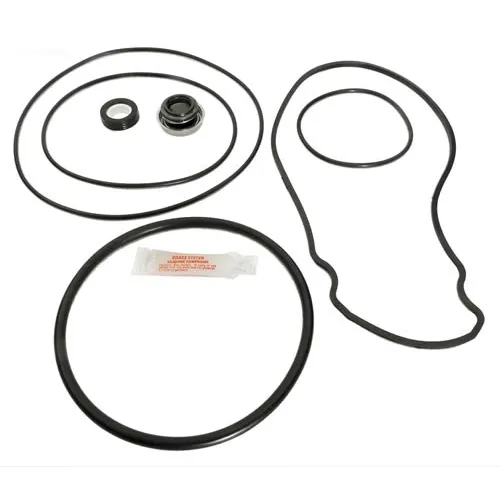 Pentair Whisperflo Pump Tune Up Kit (GOKIT32)