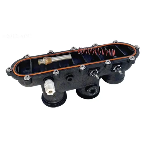 Raypak In Out Capron Header Assembly with Gasket | 006827F