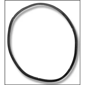 Replacement for Pentair EQ Series Pump Lid Gasket (#350166)