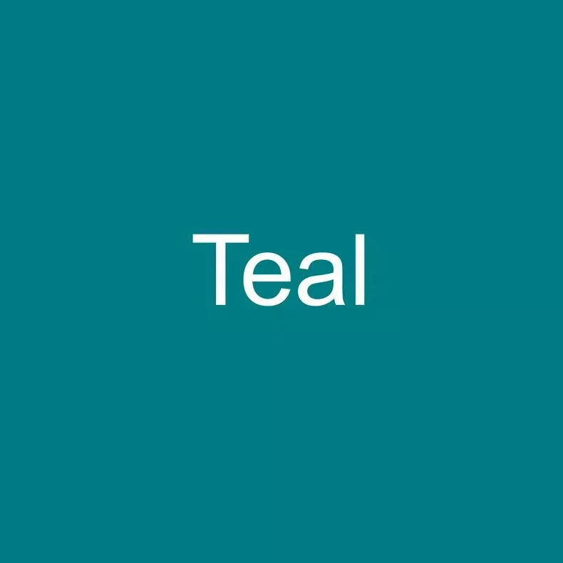 Safety Grip 7 ft Length, Teal