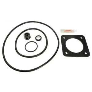 Sta-Rite DuraGlass MaxeGlass Pump Seal Kit P2DR