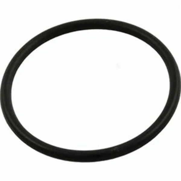 Sta-rite Max-E-Pro/Dura-Glas II Trap Cover O-Ring V26-365 U9-375