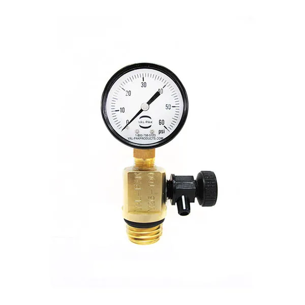 Sta-rite Sta-Rite System 3 Air Relief & Gauge Assembly V26-100 24850-0105