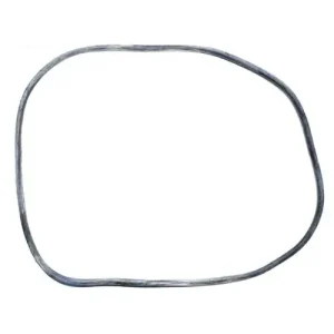StaRite System 3 Filter Tank O-Ring 24850-0009