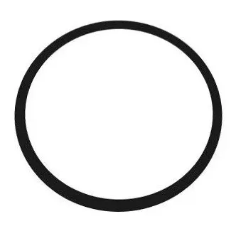 Strainer O-Ring