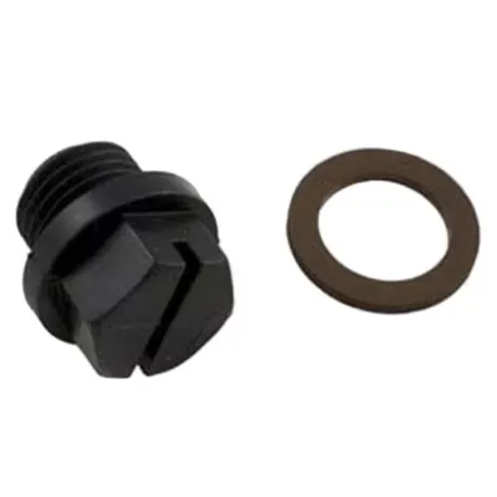 SUPERPUMP DRAIN PLUG 1/4″ W/ GASKET