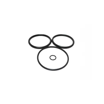 Swimquip Plastic Piston O-Ring Set 2″ V22-121S
