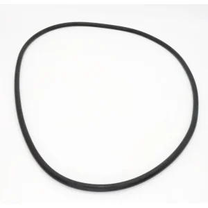 Waterway Crystal Water Filter O-Ring 805-0000B