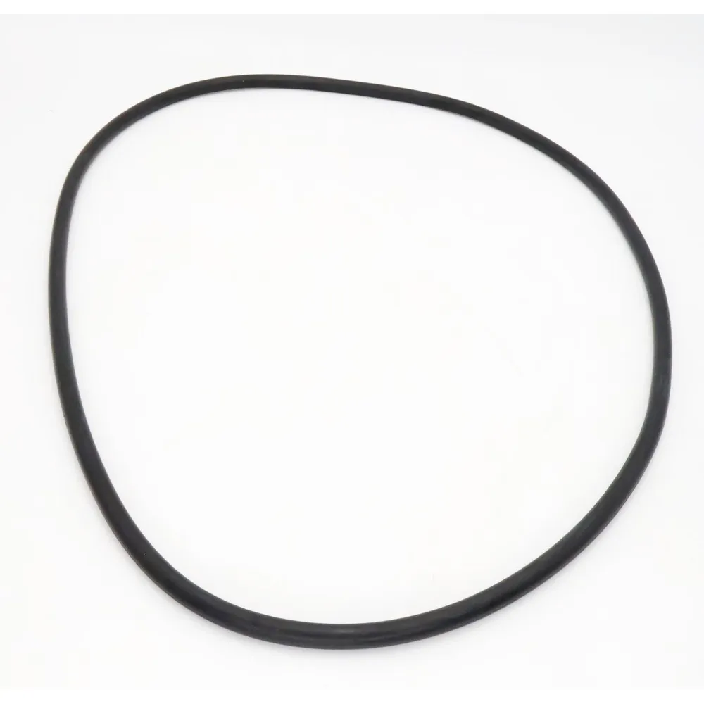 Waterway Crystal Water Filter O-Ring 805-0000B
