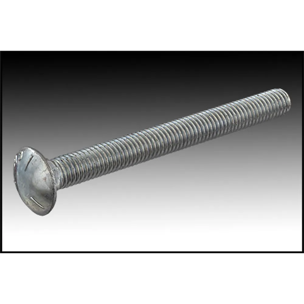 Zinc Plated Carriage Bolt- 1/2-13 X 5